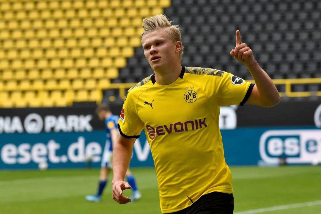 原神守诺者赛诺传说任务二流程攻略